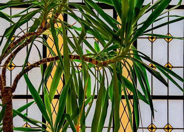 プリンチペ レアル ホテル 4*